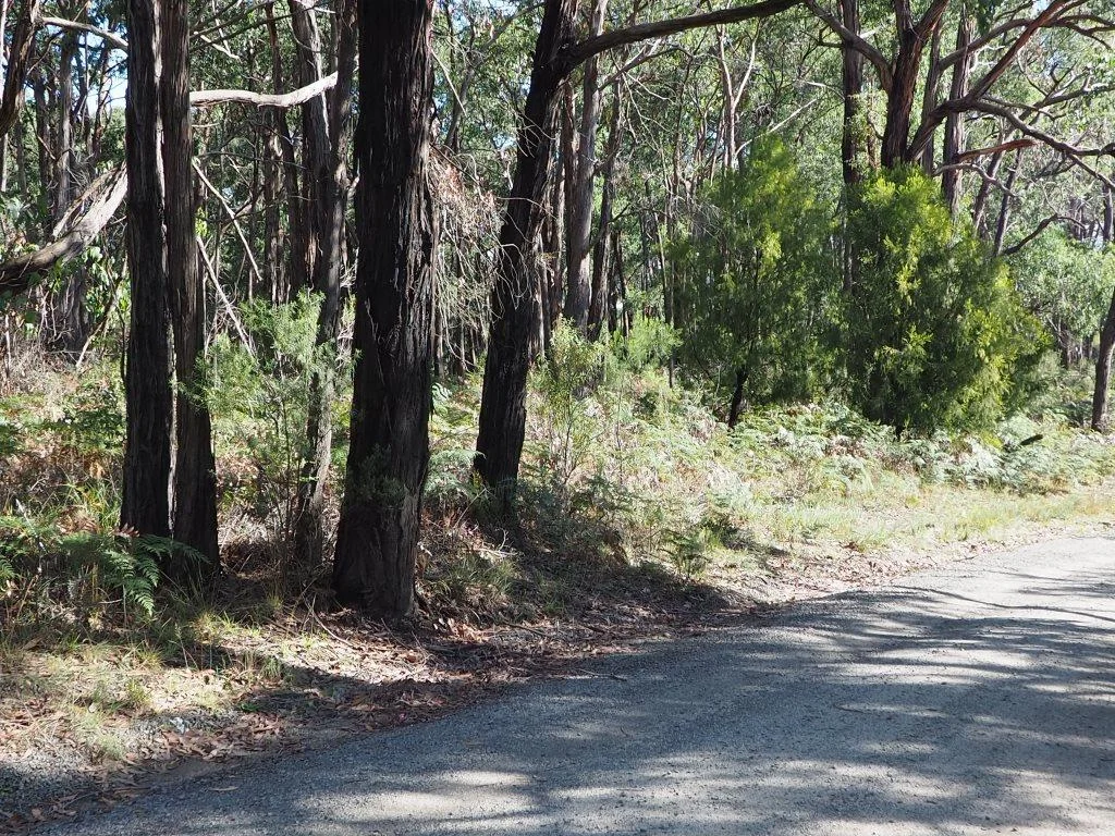 Additional image 2 of Lot 3 Brewsters Road, Yinnar South VIC 3869