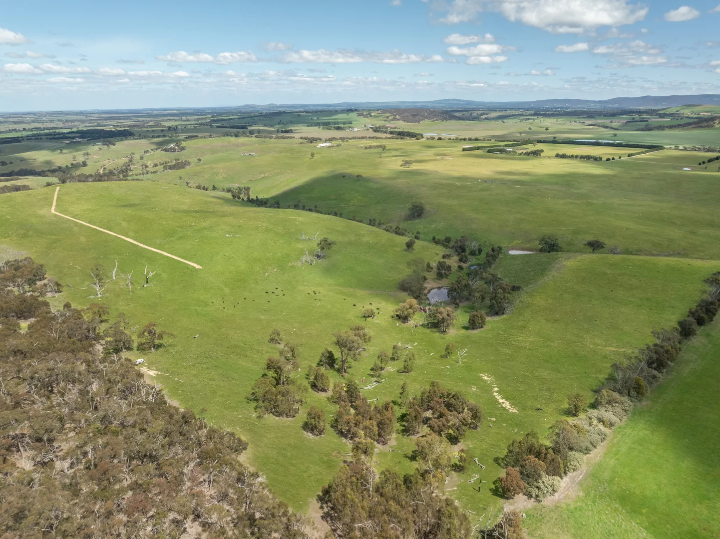 Additional image 4 of 35, 35A, 42 & 42A Romsey Road, Chintin VIC 3756