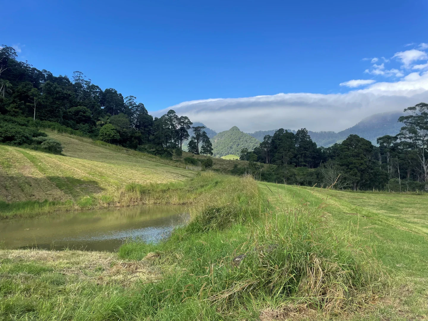 Additional image 23 of Doon Doon NSW 2484