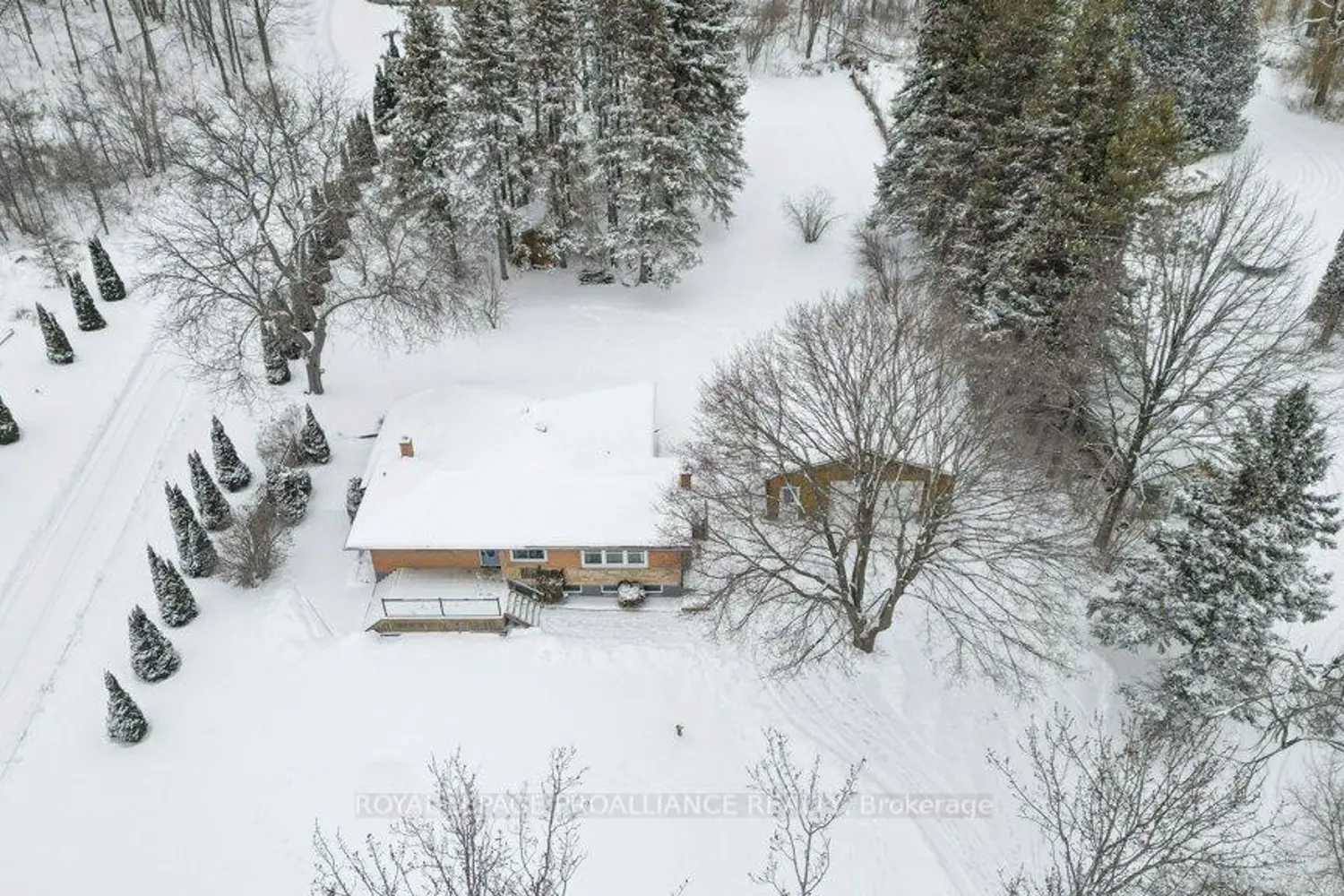 Additional image 17 of 556 Rosebush Road