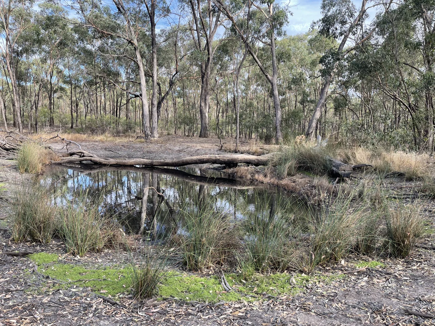 Additional image 13 of 0 Carapooee Road, St Arnaud East VIC 3477