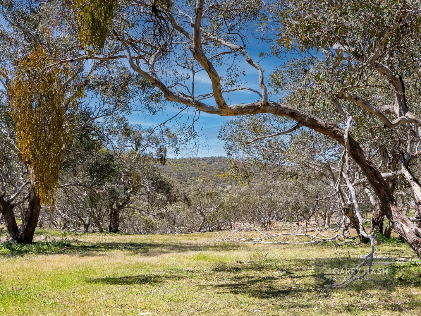 Additional image 8 of Lot 2 Sanderson Road, Springhurst VIC 3682