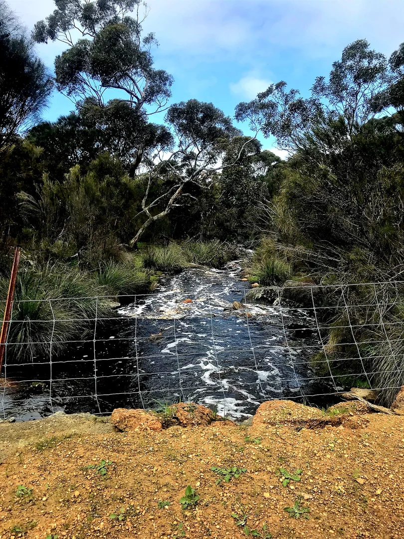 Additional image 22 of 958 Crabbs Road, Newland SA 5223