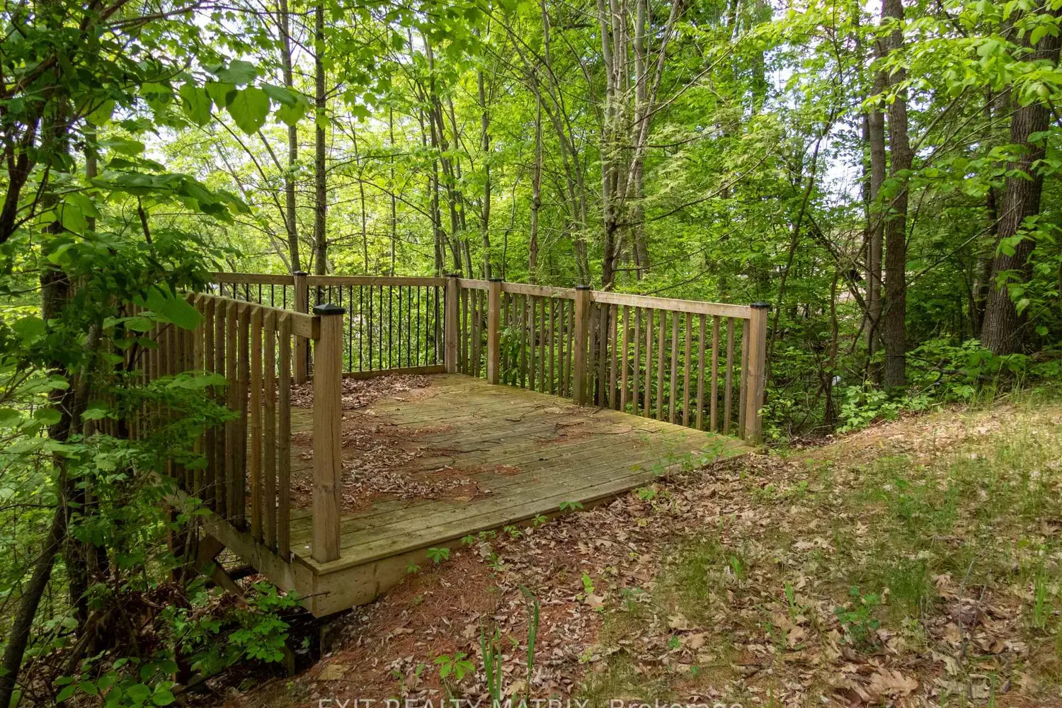 Additional image 4 of 12654 Lanark Road