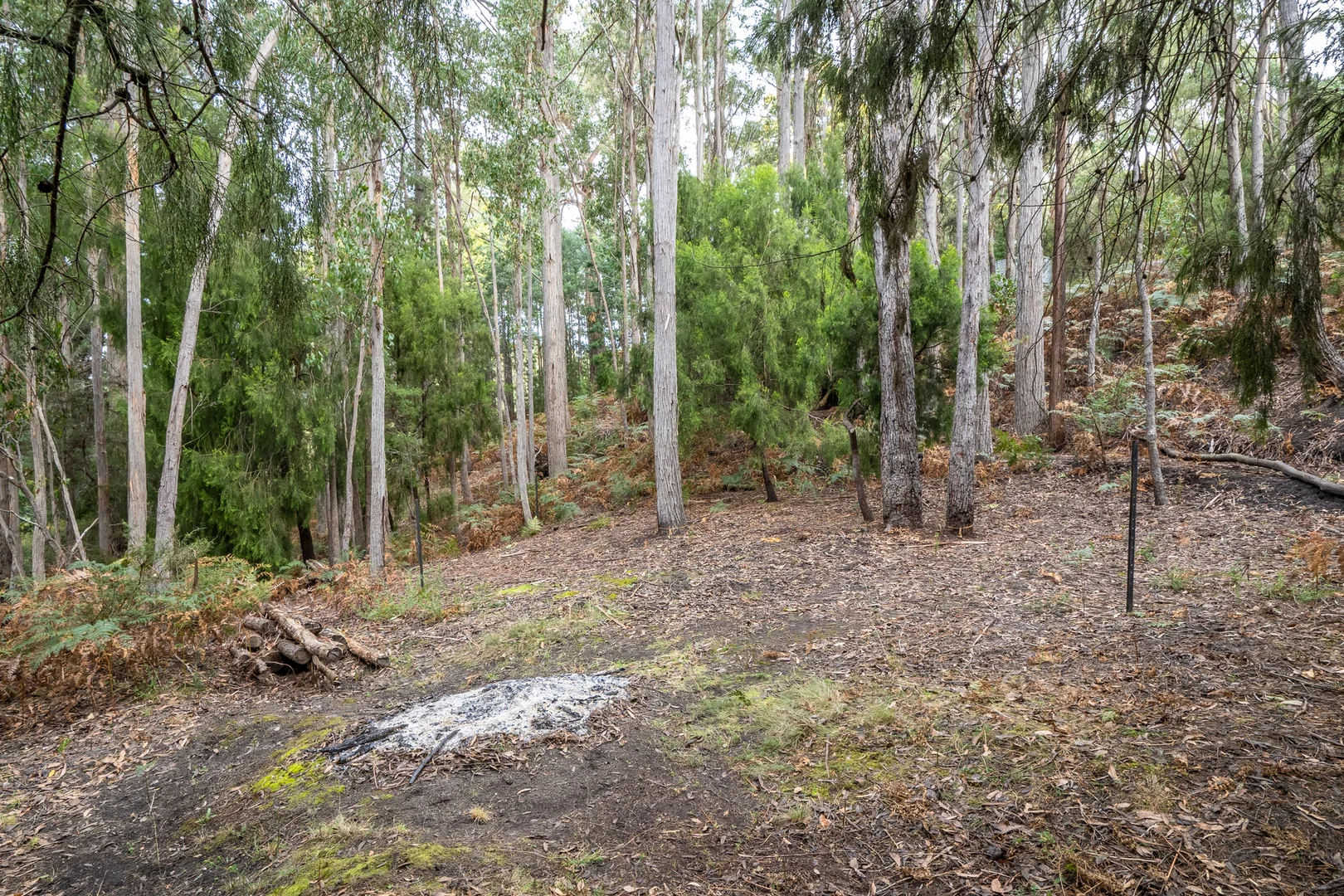 Additional image 8 of Channel Highway, Flowerpot TAS 7163