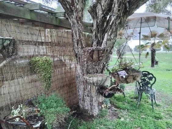 Additional image 23 of 8 Webster Street, Hexham VIC 3273