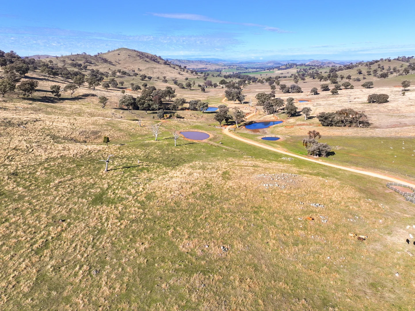 Additional image 5 of 444 Hoares Lane, Muttama NSW 2722