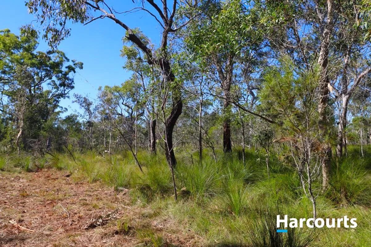 Additional image 5 of LOT 900 BROADLANDS ROAD, Buxton QLD 4660