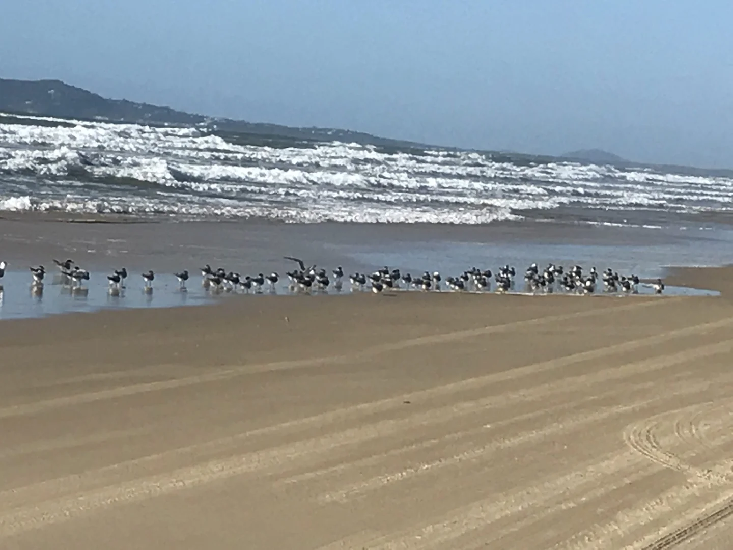 Additional image 6 of 16 Mackerel Street, Noosa North Shore QLD 4565