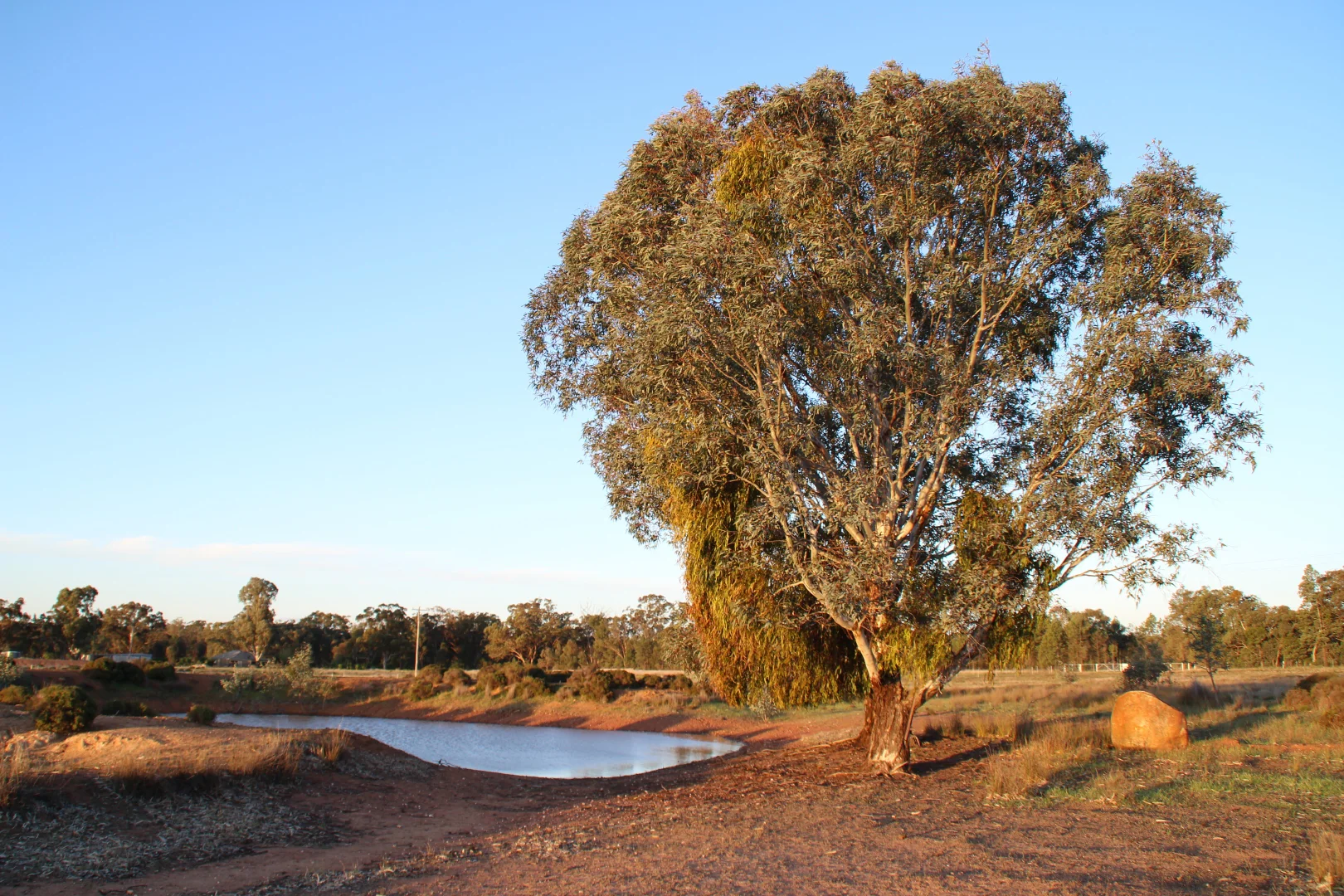 Additional image 27 of Lagoon Creek Road, Minore NSW 2830