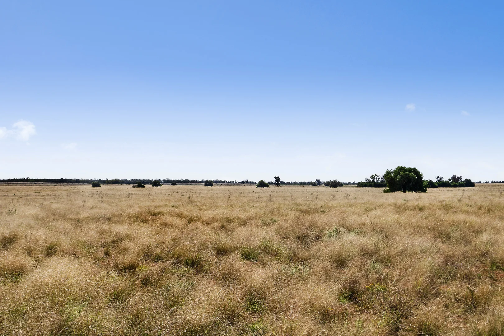 Additional image 23 of 4229 Bobadah Road, Bobadah NSW 2877