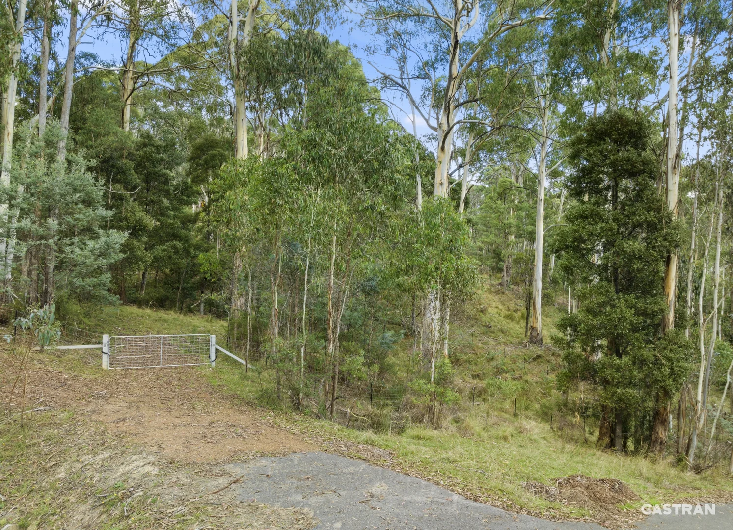 Additional image 3 of 63 Overflow Road, Sawmill Settlement VIC 3723