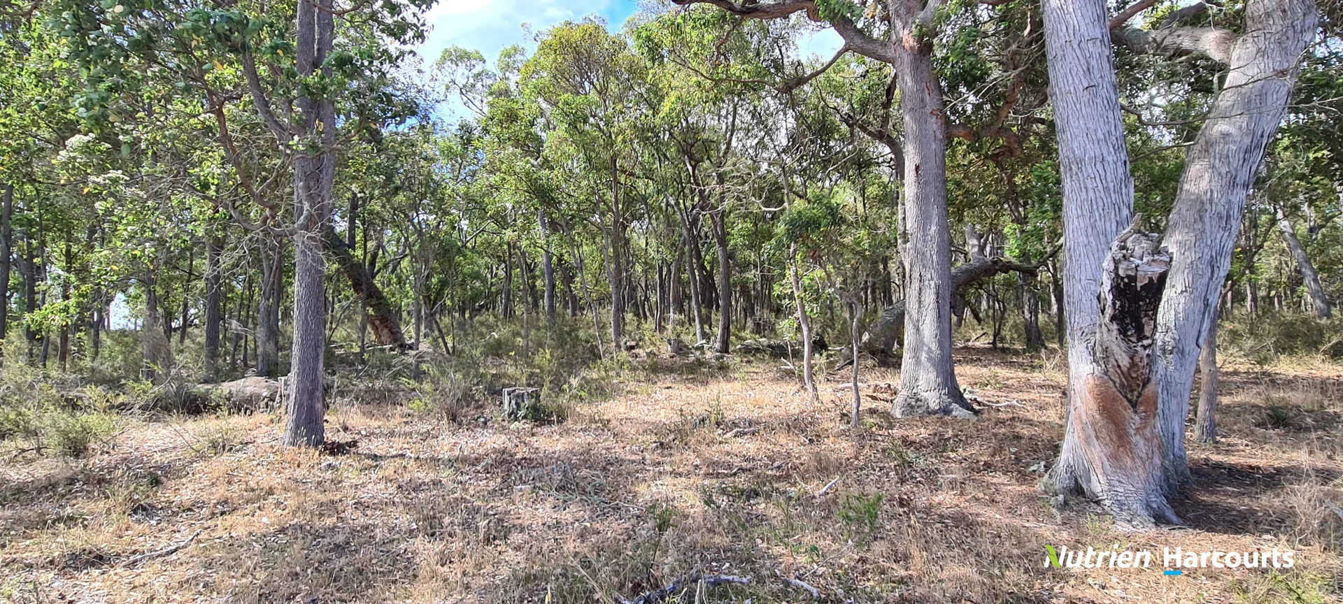 Additional image 29 of 267 Spencer Road, Narrikup WA 6326