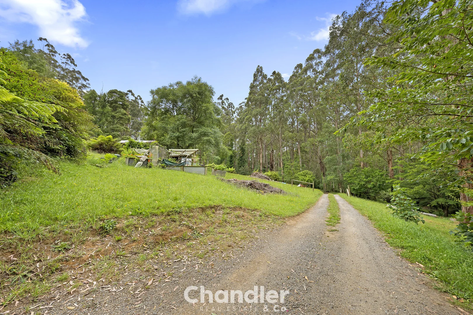 Additional image 22 of 19 Colehurst Crescent, Olinda VIC 3788