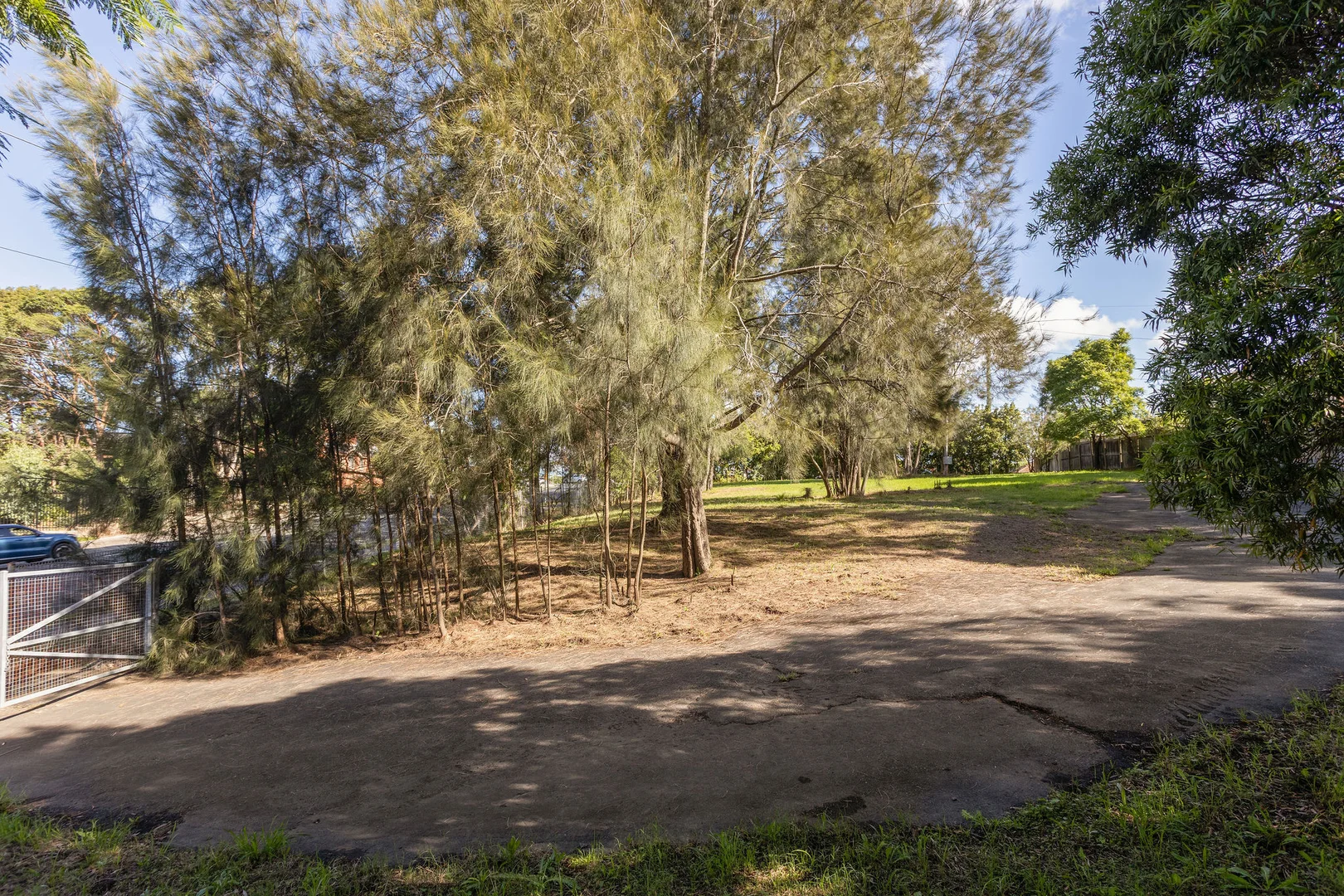 Additional image 6 of 38 Duffy Avenue, Thornleigh NSW 2120