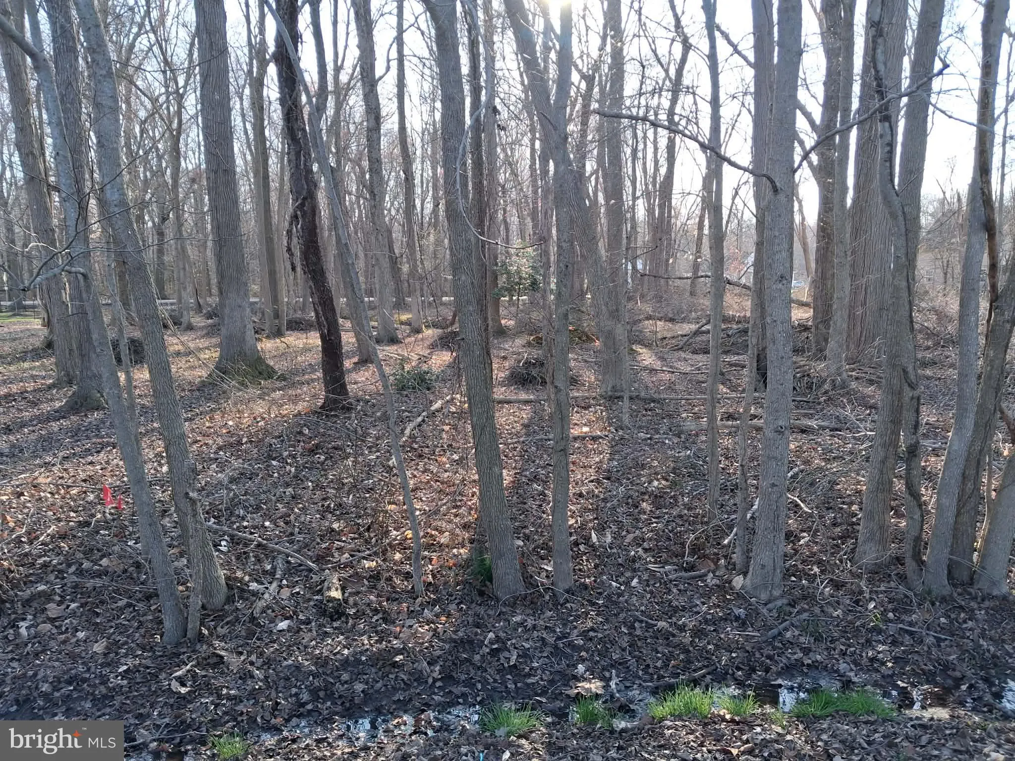 Additional image 13 of Misty Way, Hartly, DE 19953