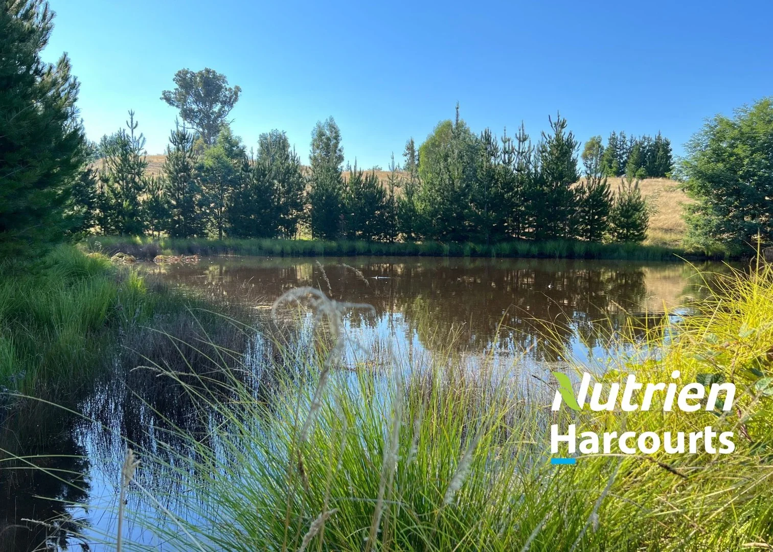 613 Diffey Road, Everton VIC 3678