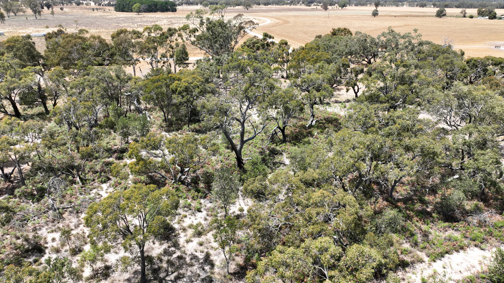 Additional image 3 of Lot 9 John McPhees Drive, Toolondo VIC 3401