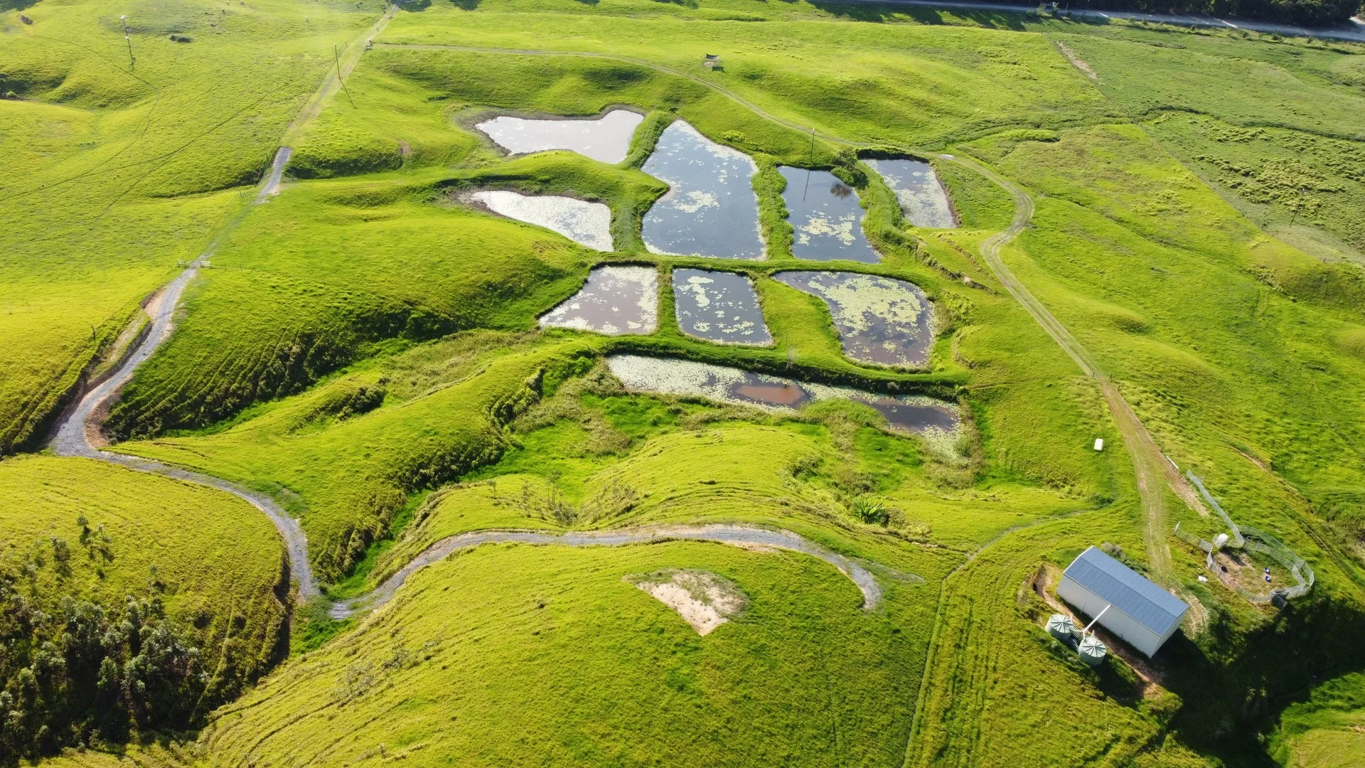 Additional image 2 of 141 Stewart Creek Road, Stewart Creek Valley, Daintree QLD 4873