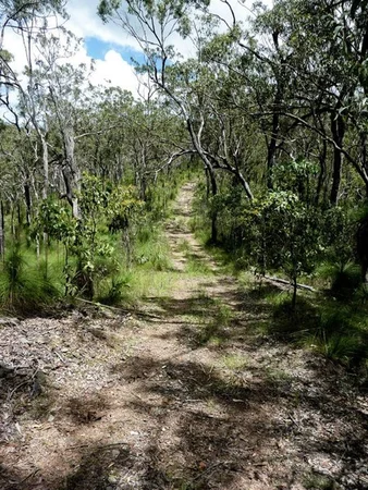 Additional image 13 of Lot 123 Two Chain Road, Koah QLD 4881