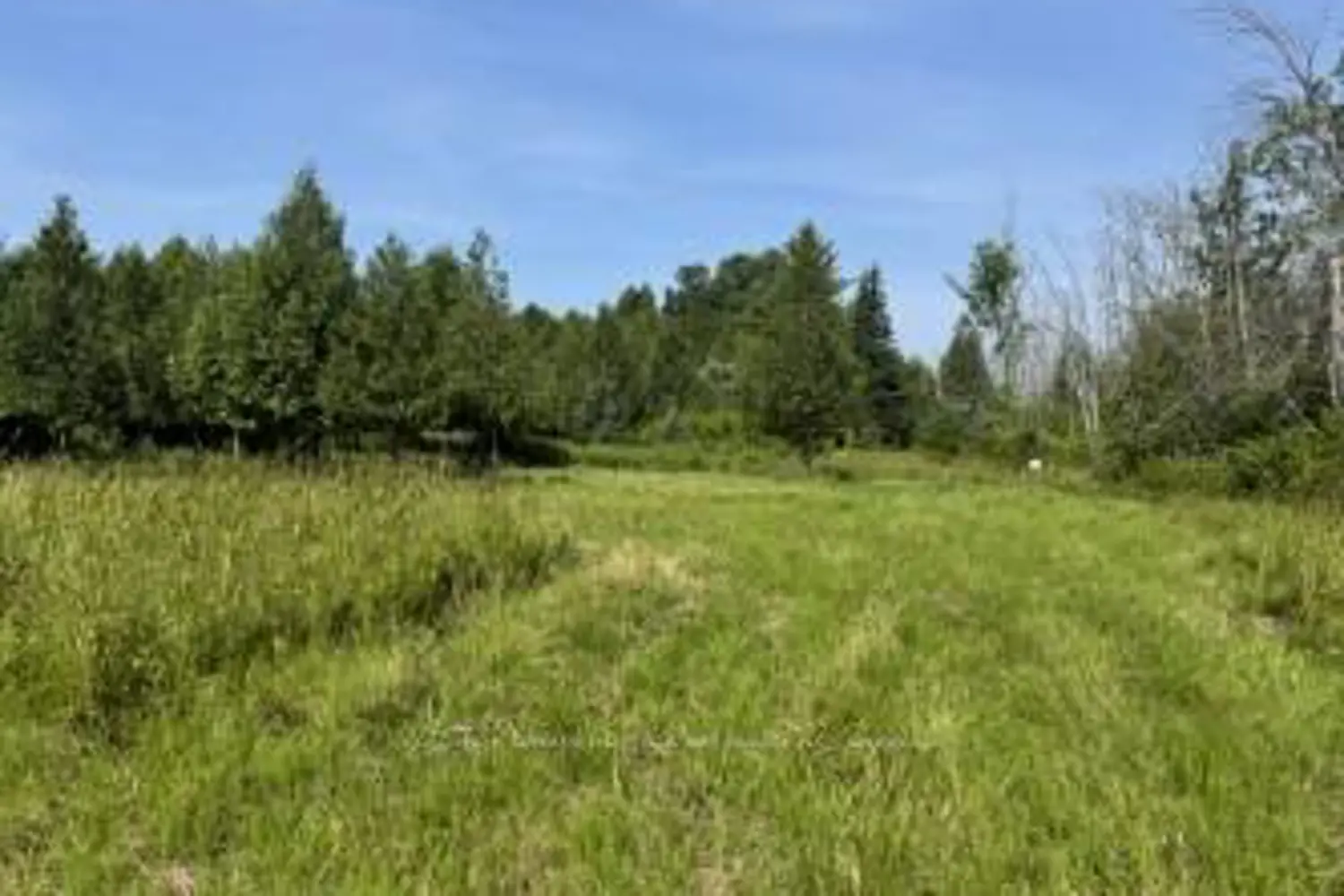 Additional image 3 of 12992 #7 Highway