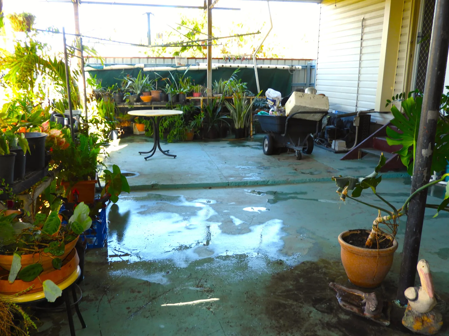 Additional image 11 of 56 Drysdale Street, Brandon QLD 4808