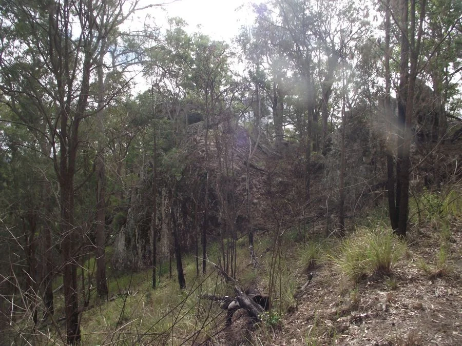 Additional image 5 of Stegemann Road, Upper Glastonbury QLD 4570