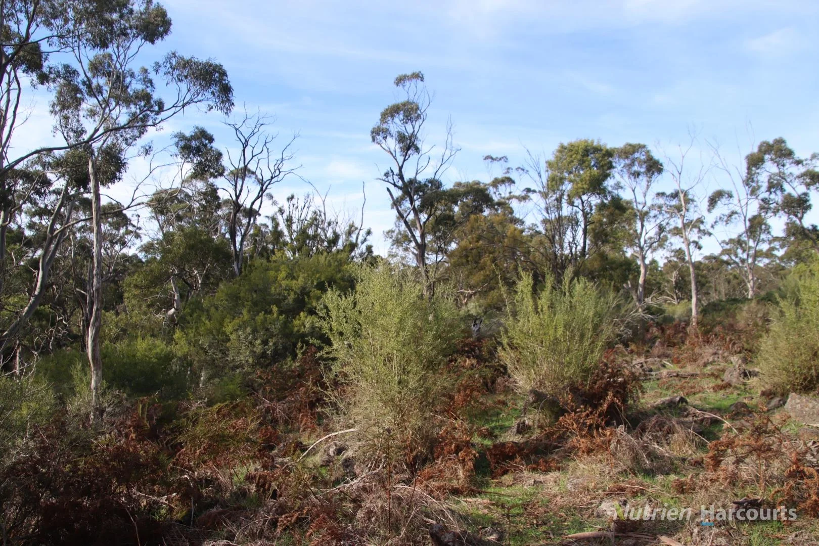 Additional image 8 of 1805 Princes Highway, Pirron Yallock VIC 3249