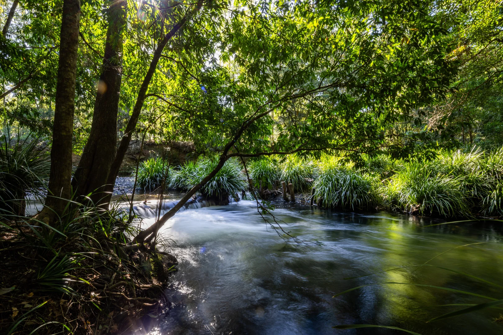 Additional image 2 of 930 promised land Road, Bellingen NSW 2454