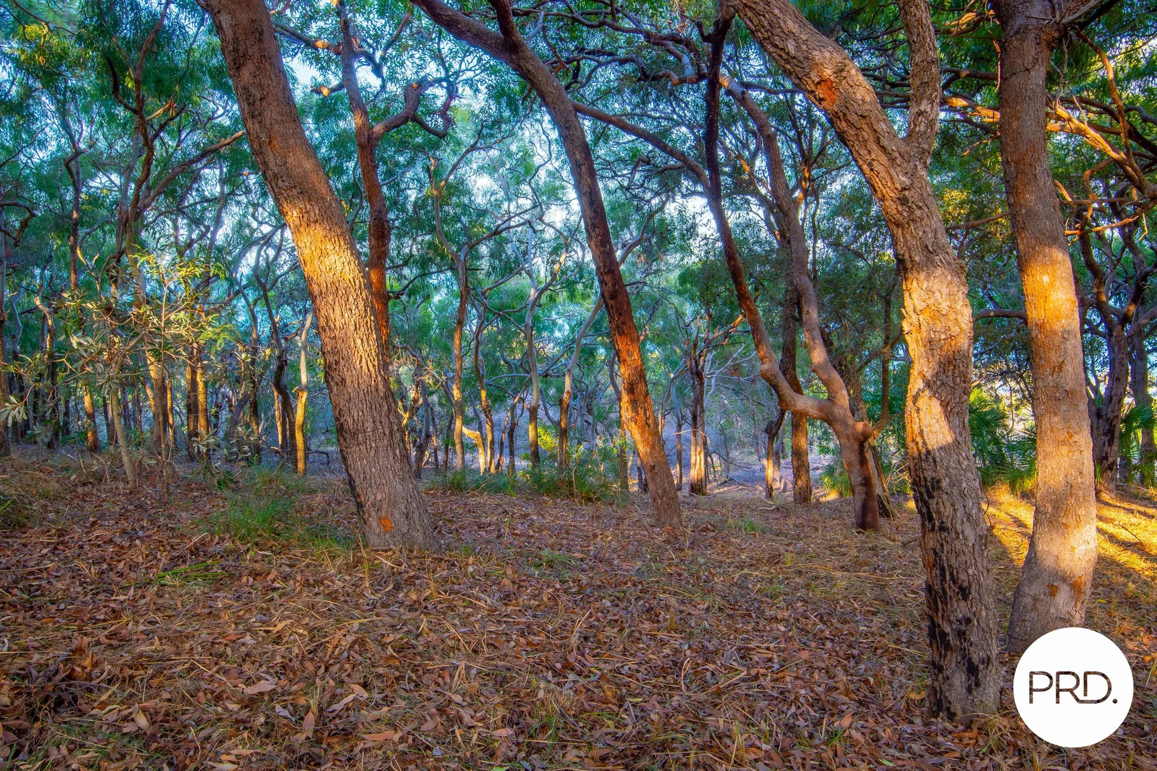 Additional image 20 of 127 Sunbird Avenue, Agnes Water QLD 4677