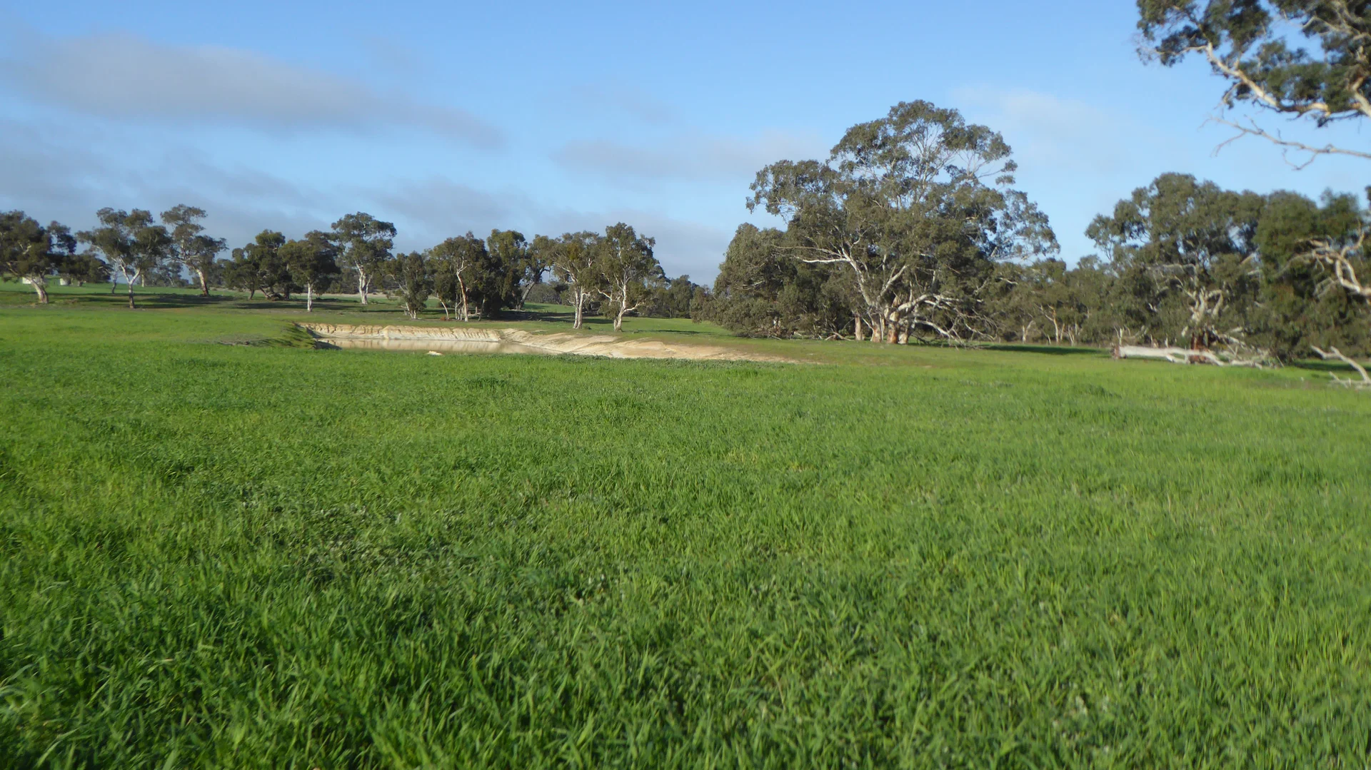 Additional image 3 of "Wyruna" 2989 Naracoorte Road, Western Flat SA 5268