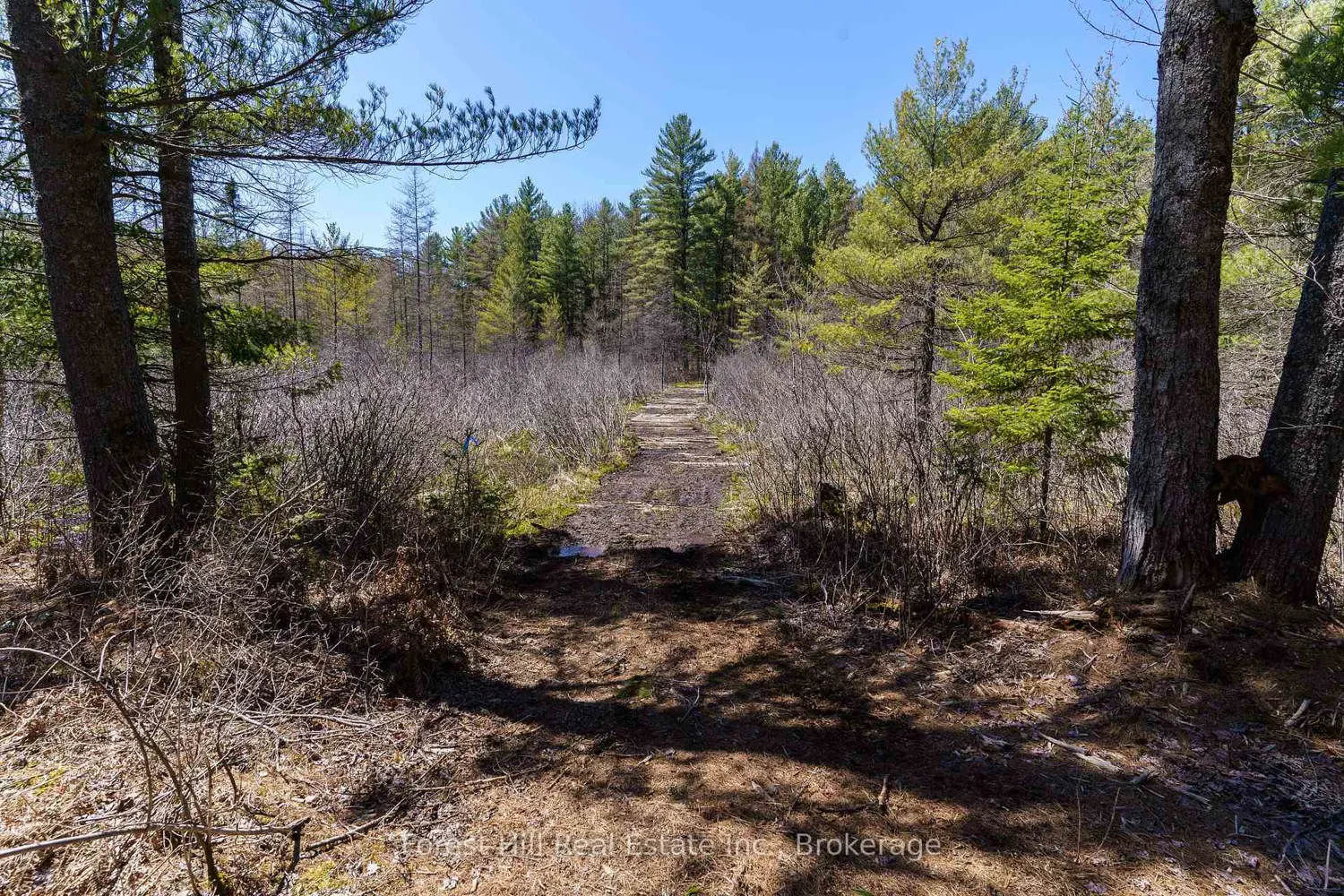 Additional image 4 of Lt32c9 Concession Line Concession