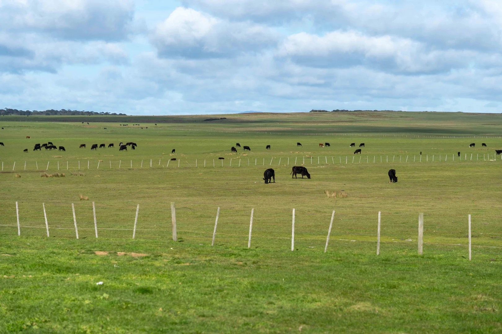 Additional image 7 of Rushy Lagoon TAS 7264