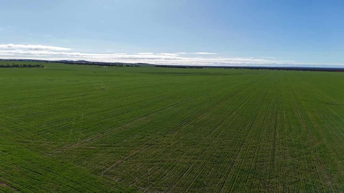 Additional image 3 of 697 Solomon Road, Perenjori WA 6620