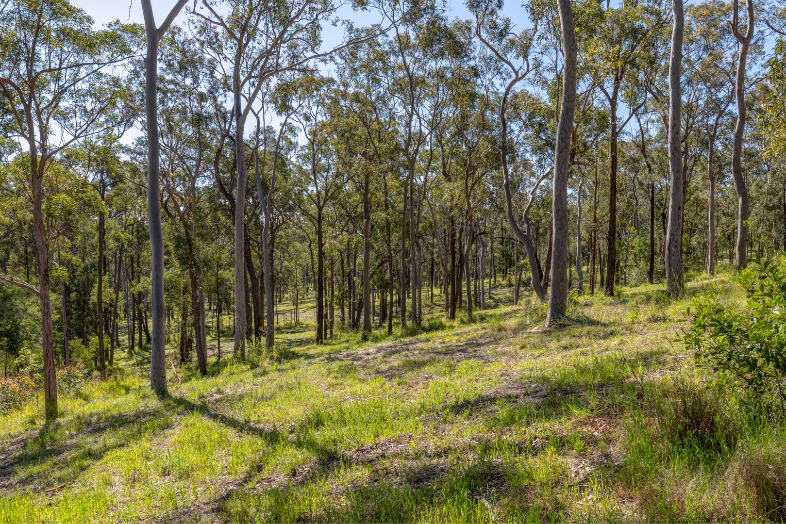 Additional image 7 of 35 Grandview Close, Clarence Town NSW 2321