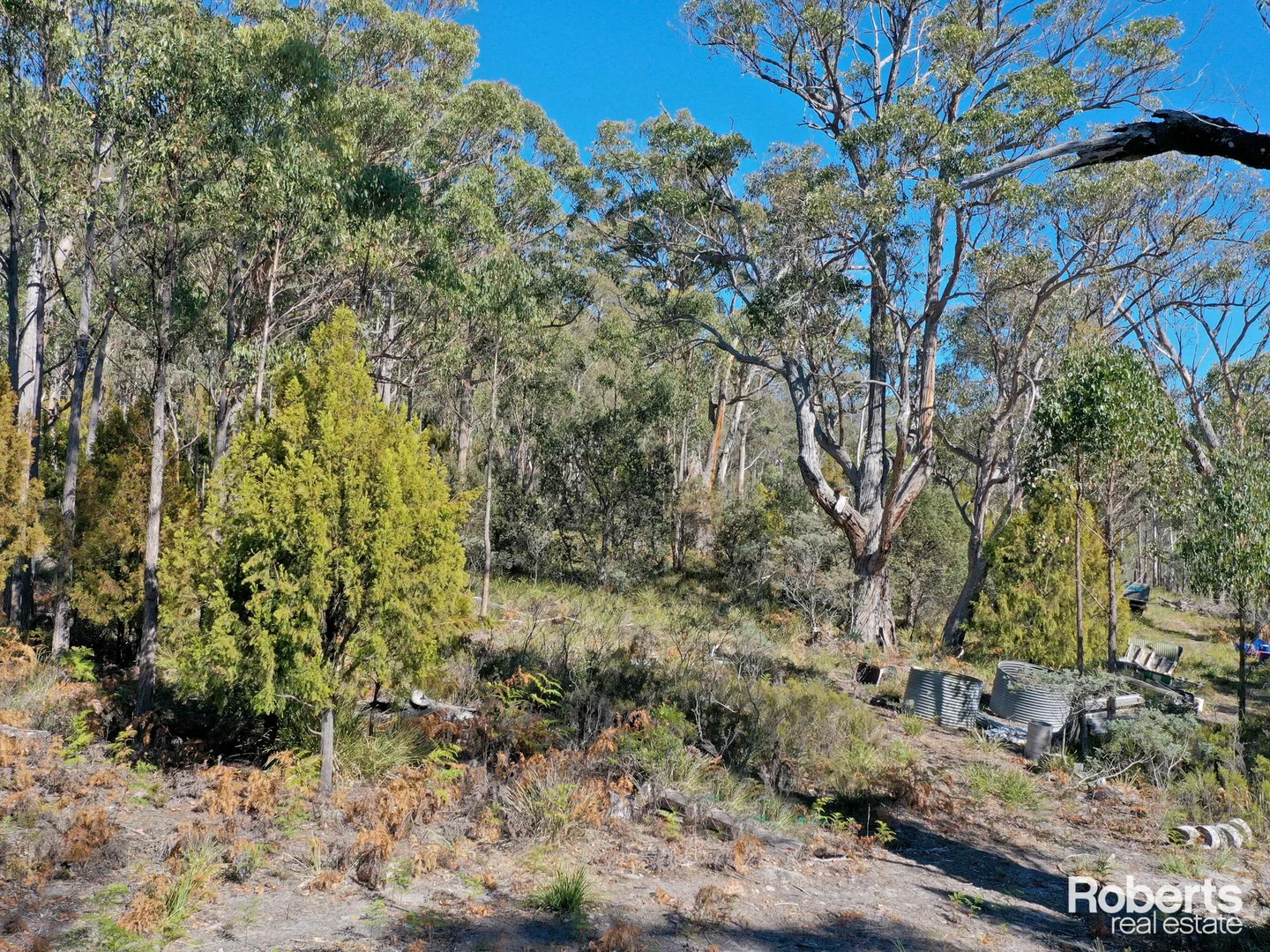 Additional image 18 of Fentonbury TAS 7140