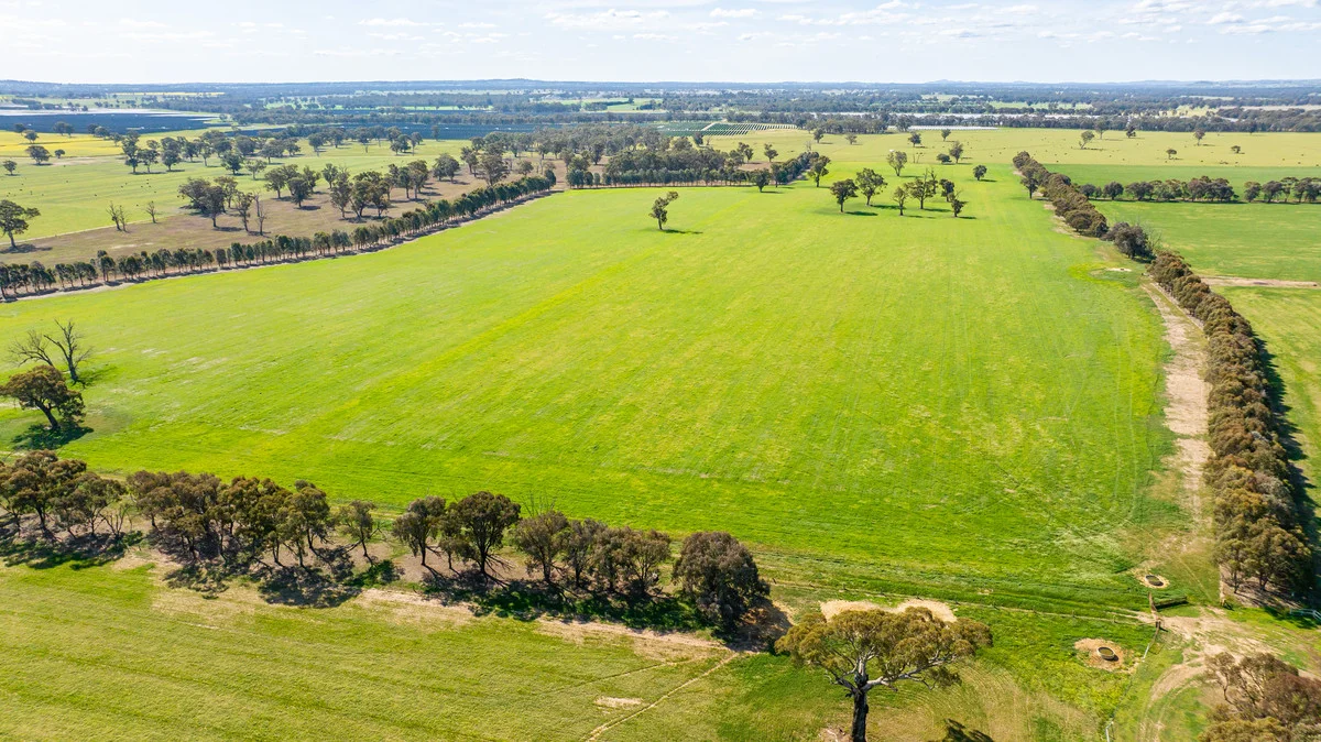 Additional image 33 of 1791 Olympic Highway, Culcairn NSW 2660