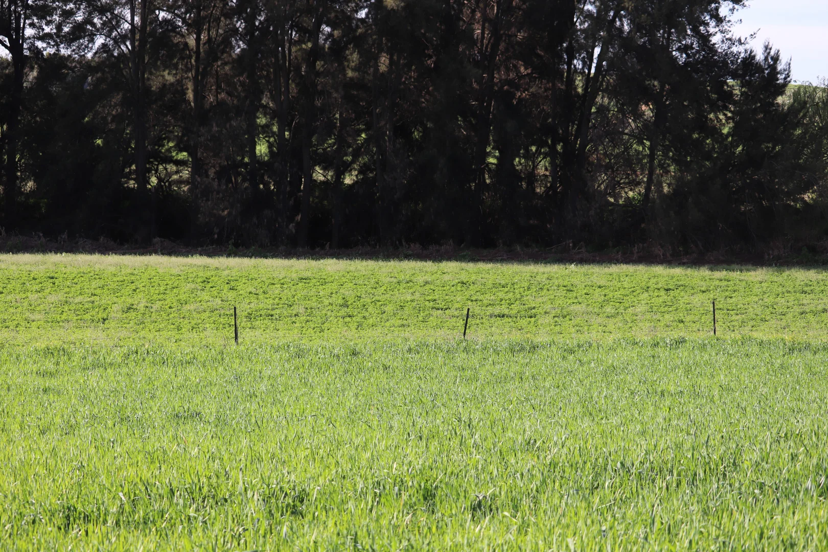 Additional image 19 of 2350 George Russell Drive, Canowindra NSW 2804