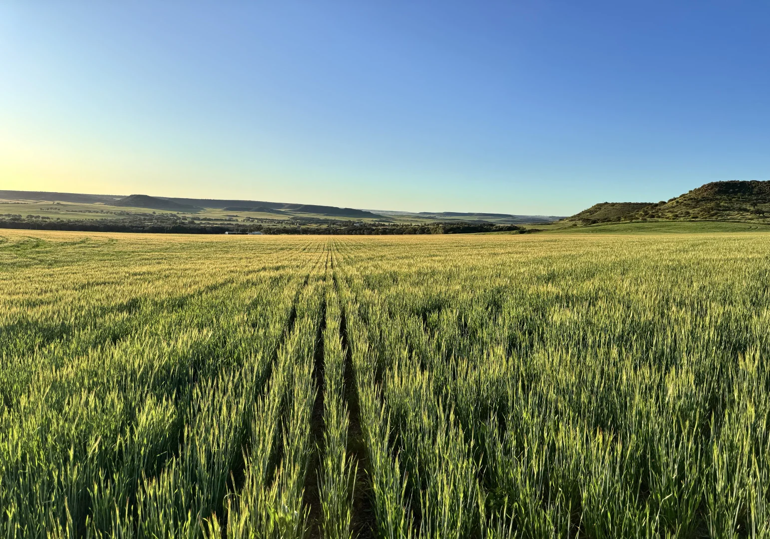 Additional image 5 of 9500 Chapman Valley Road, Narra Tarra WA 6532