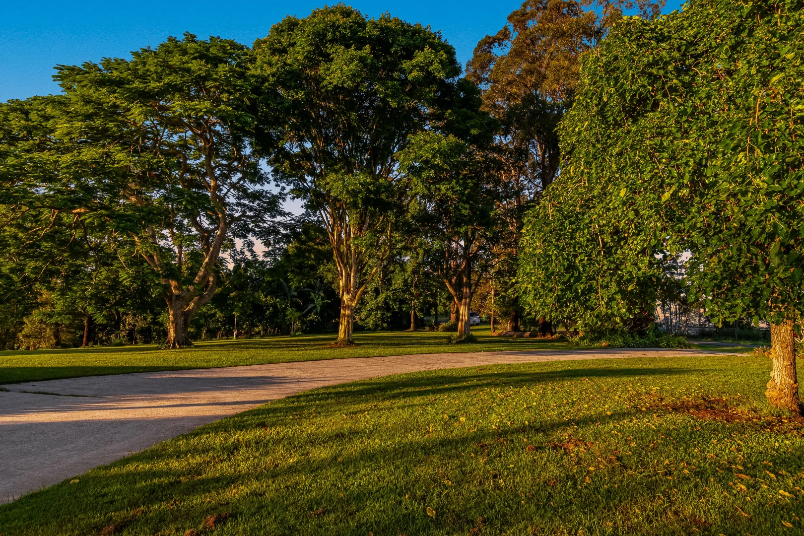 Additional image 10 of 175 Old Byron Bay Road, Newrybar NSW 2479