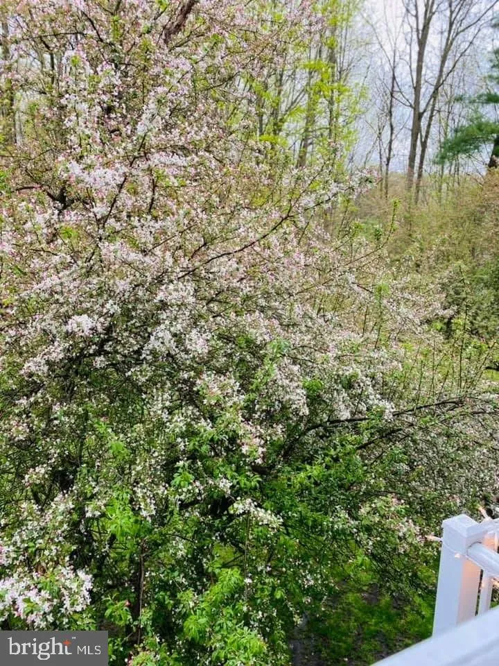 Additional image 54 of 3507 Haley Court, Wilmington, DE 19808