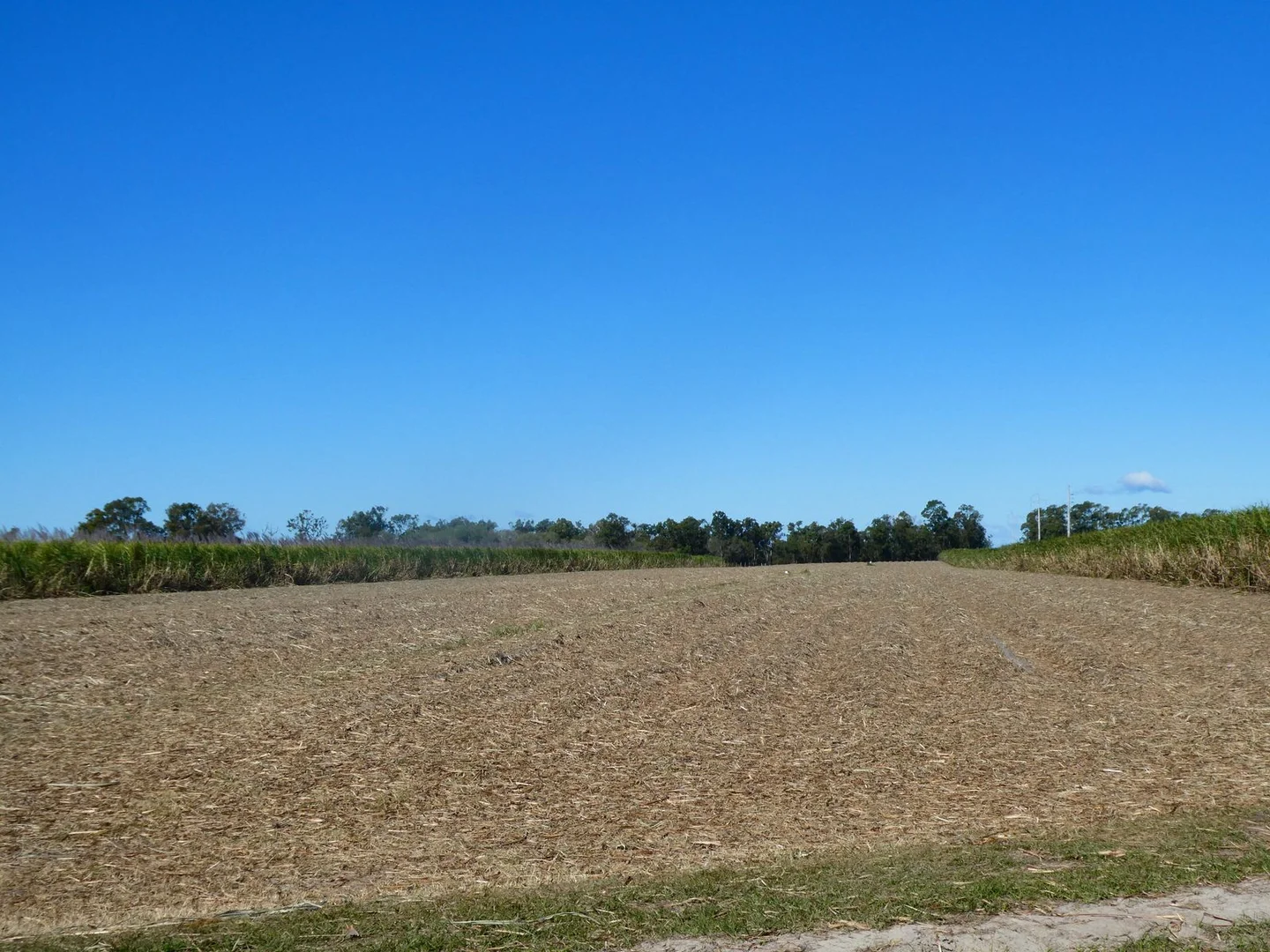 Additional image 30 of 84 Foleys Road, North Gregory QLD 4660