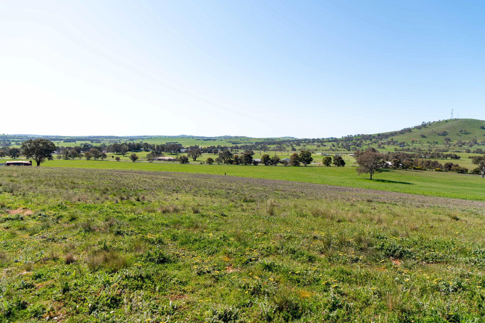 Additional image 4 of LOT 23 Long Street, Boorowa NSW 2586