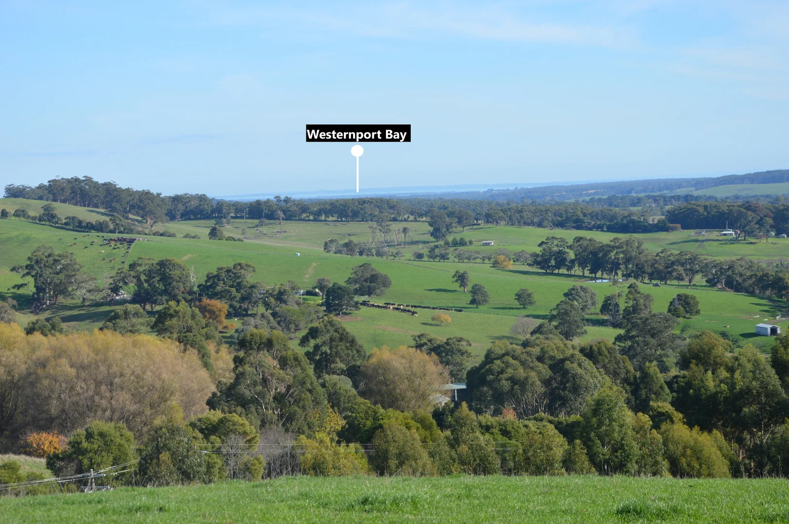 Additional image 9 of 55 Michie Road, Krowera VIC 3945