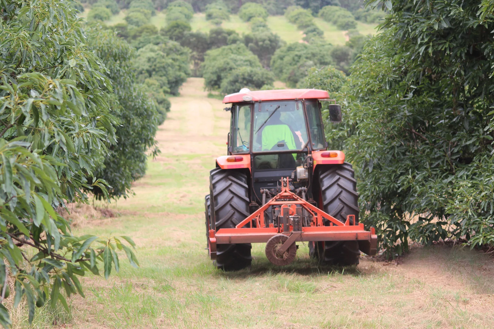 Additional image 38 of 107 Cherry Creek Road, Cherry Creek QLD 4314