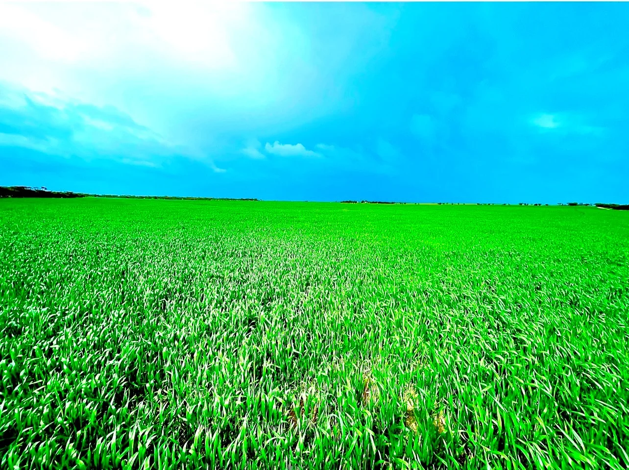 1830 Finlayson Road, Petina SA 5680