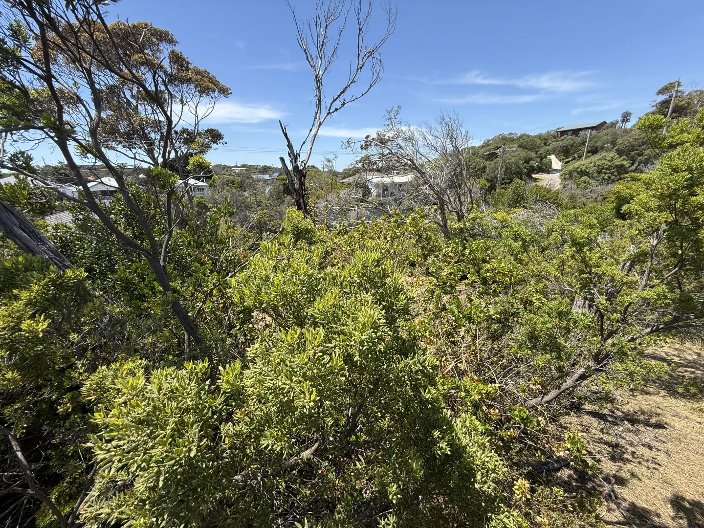 Additional image 9 of 20 Rodney Street, Rye VIC 3941