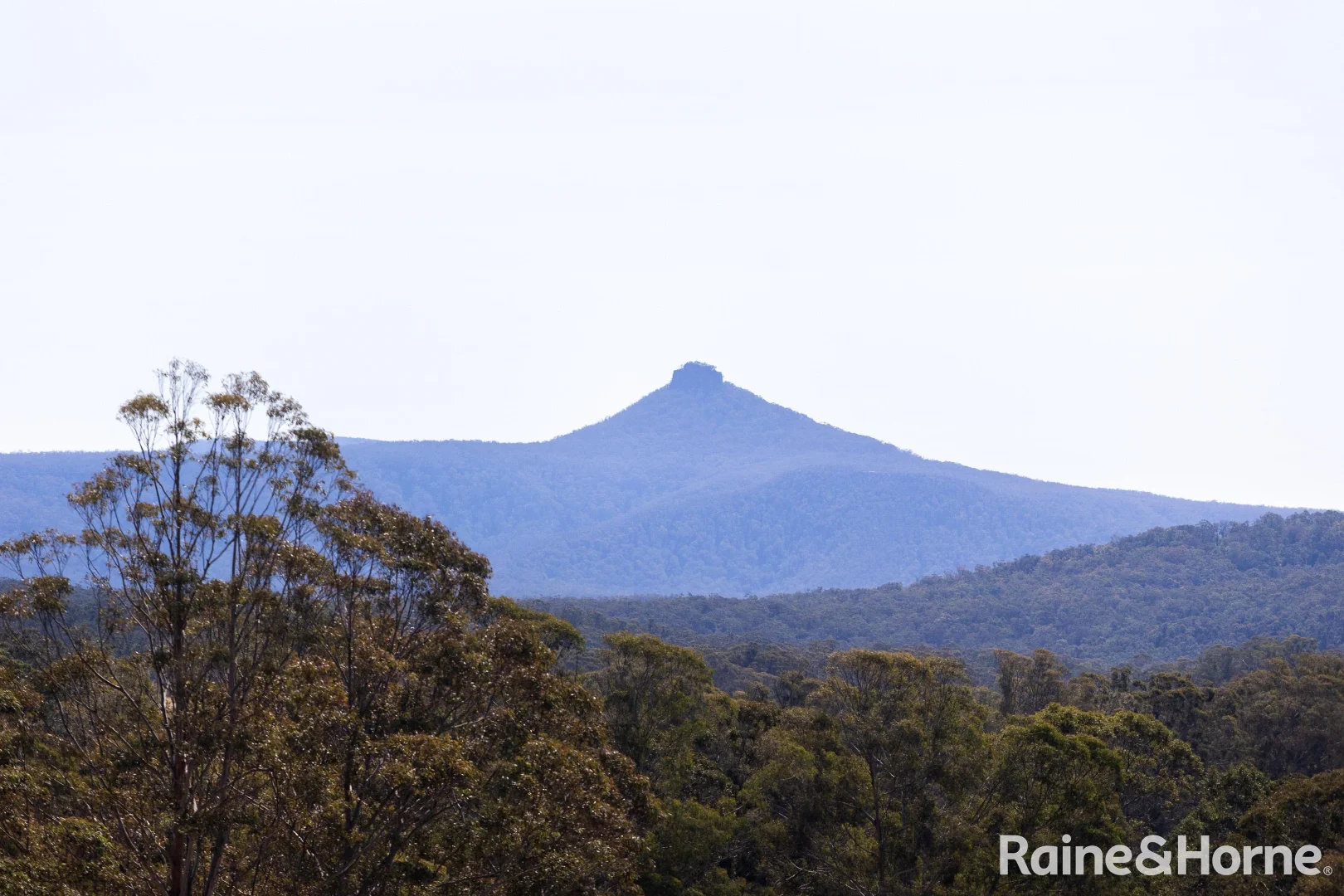 Additional image 22 of 1813 The River Road 'Strathclyde', Brooman NSW 2538