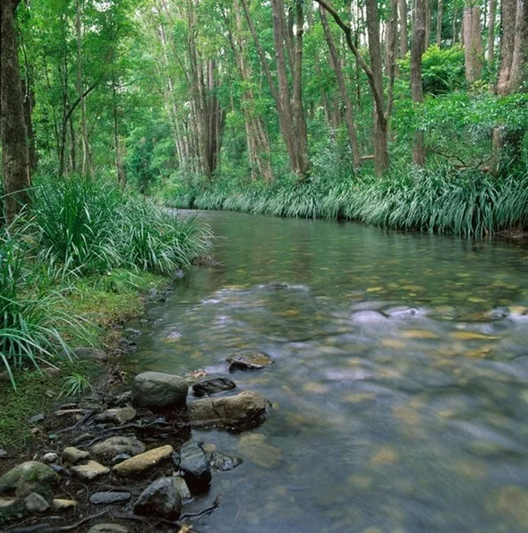 Additional image 22 of 934 Promised Land Road, Bellingen NSW 2454