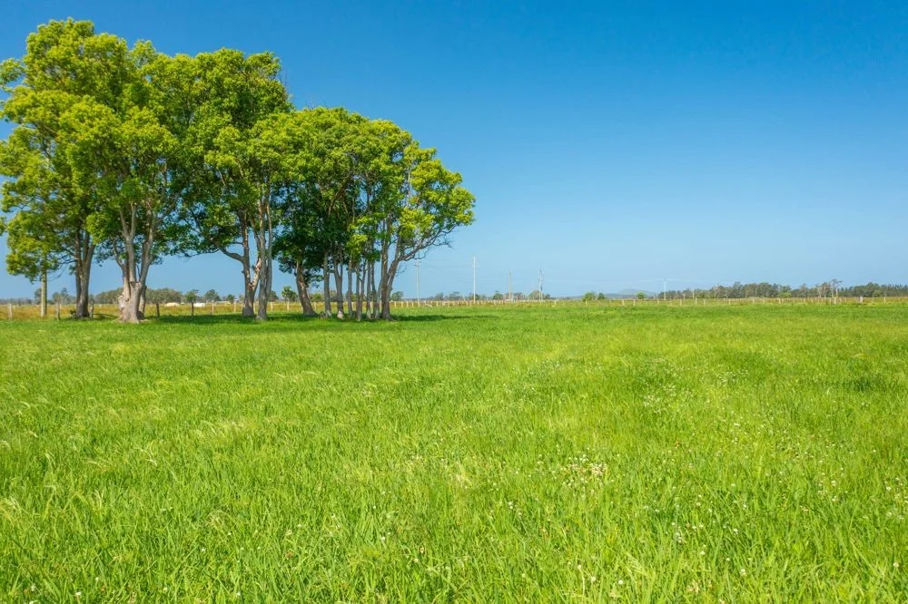 Additional image 10 of Lot 2 & 4 Barnard St, Gladstone NSW 2440